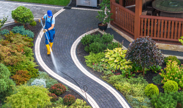 Best Local Pressure Washing Services  in Country Homes, WA